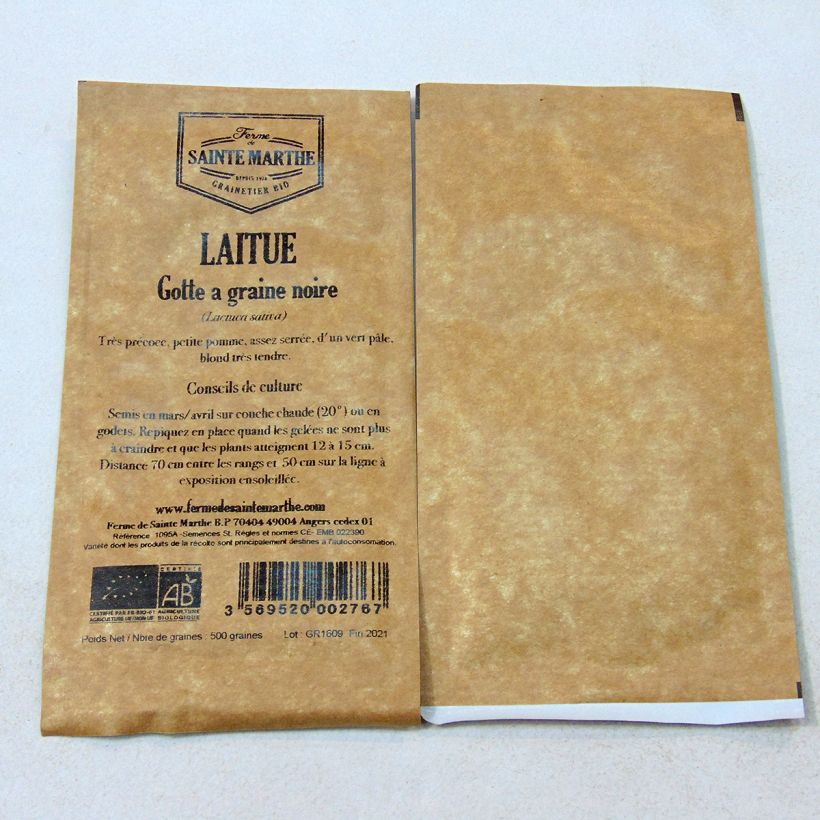 Beispiel eines Exemplars von Kopfsalat Gotte à Graine Noire Bio - Ferme de Sainte Marthe die Tüte mit 500 Samen wie geliefert