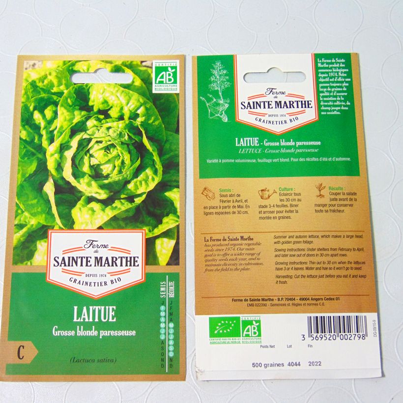 Beispiel eines Exemplars von Kopfsalat Grosse Blonde Paresseuse Bio - Ferme de Sainte Marthe die Tüte mit 500 Samen wie geliefert