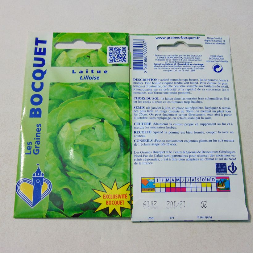 Beispiel eines Exemplars von Kopfsalat Lilloise die Tüte mit 1600 Samen (2g) wie geliefert