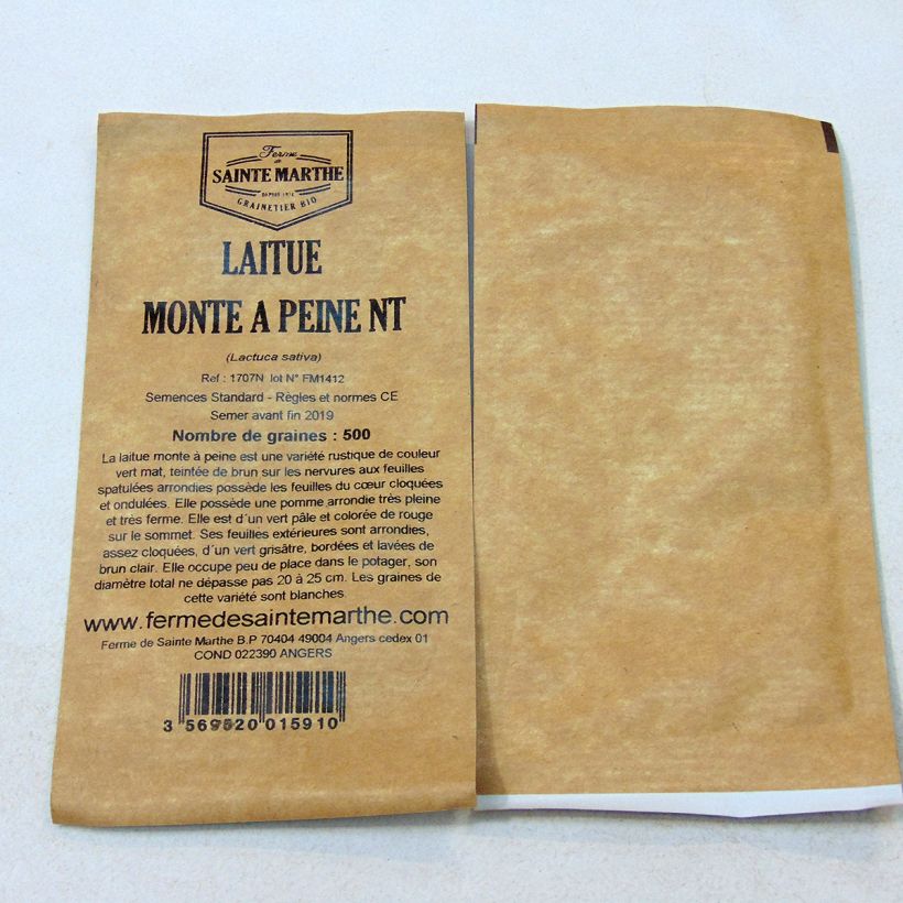 Beispiel eines Exemplars von Kopfsalat Monte à Peine die Tüte mit 500 Samen wie geliefert