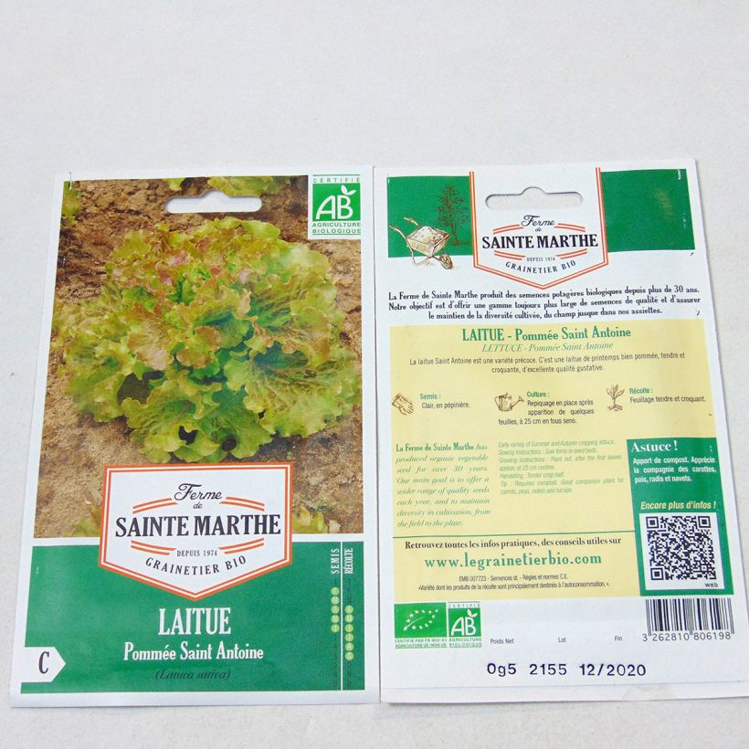 Beispiel eines Exemplars von Kopfsalat Saint Antoine Bio - Ferme de Sainte Marthe die Tüte mit 500 Samen wie geliefert