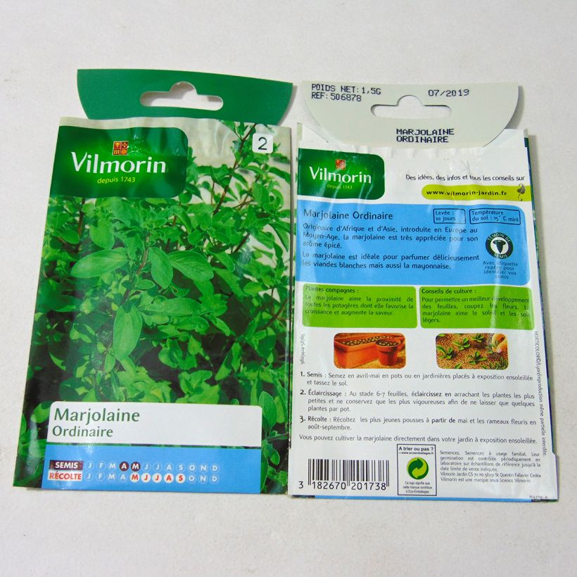 Beispiel eines Exemplars von Majoran - Vilmorin - Origanum majorana die Tüte mit 12000 Samen (1g) wie geliefert