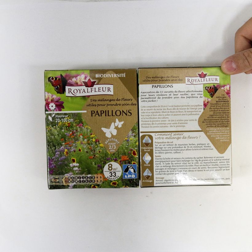 Beispiel eines Exemplars von Schmetterlingsanziehungsmischung - 8m2 Box die Tüte mit Samen von 14 Gramm wie geliefert