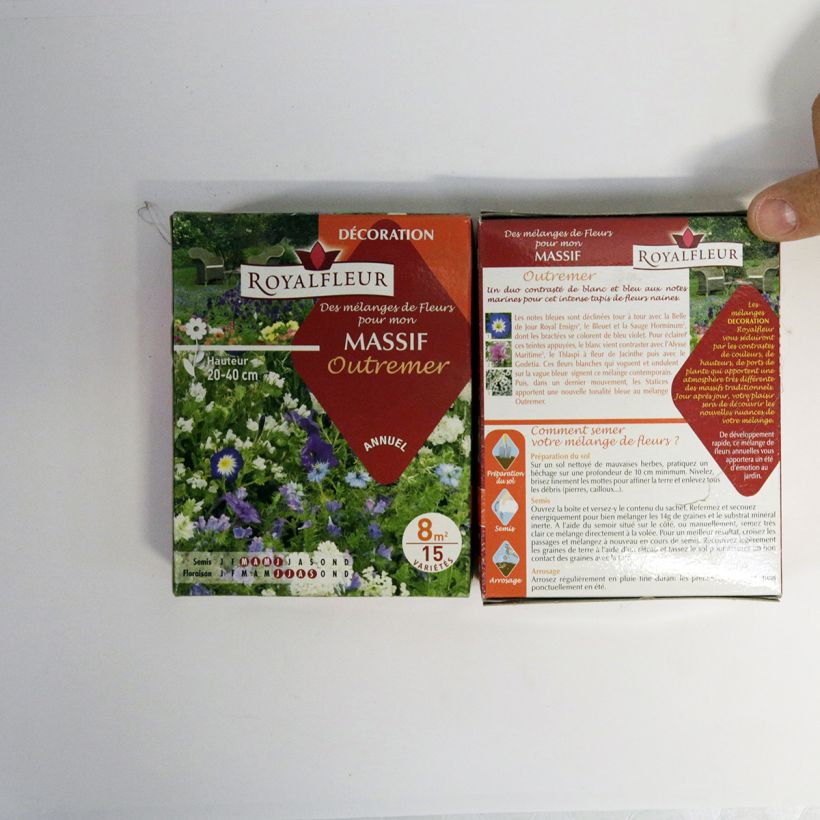 Beispiel eines Exemplars von Staudenmischung Blau - 8 m2 Box die Tüte mit Samen von 14 Gramm wie geliefert