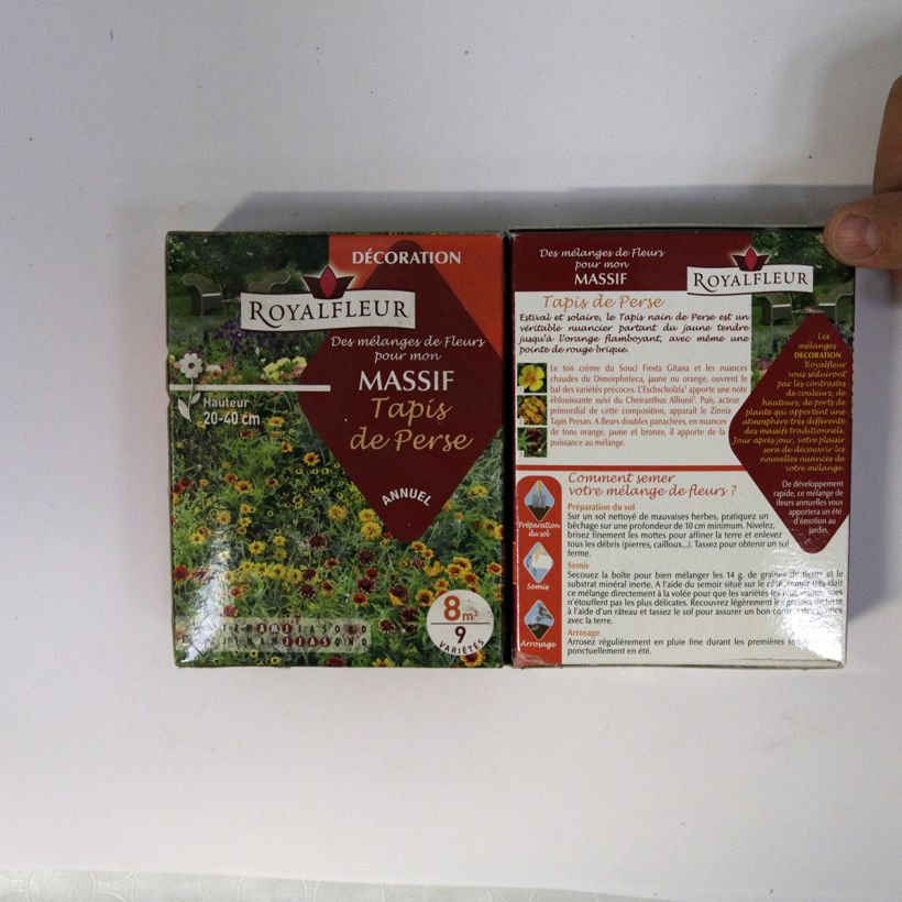 Beispiel eines Exemplars von Perserteppich-Mischung für Blumenbeete - Box für 8 m2 die Tüte mit Samen von 14 Gramm wie geliefert