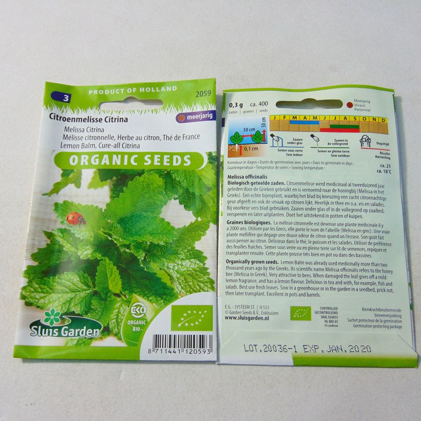 Beispiel eines Exemplars von Melisse - Melissa officinalis Samen Bio die Tüte mit 1000 Samen (0,6g) wie geliefert