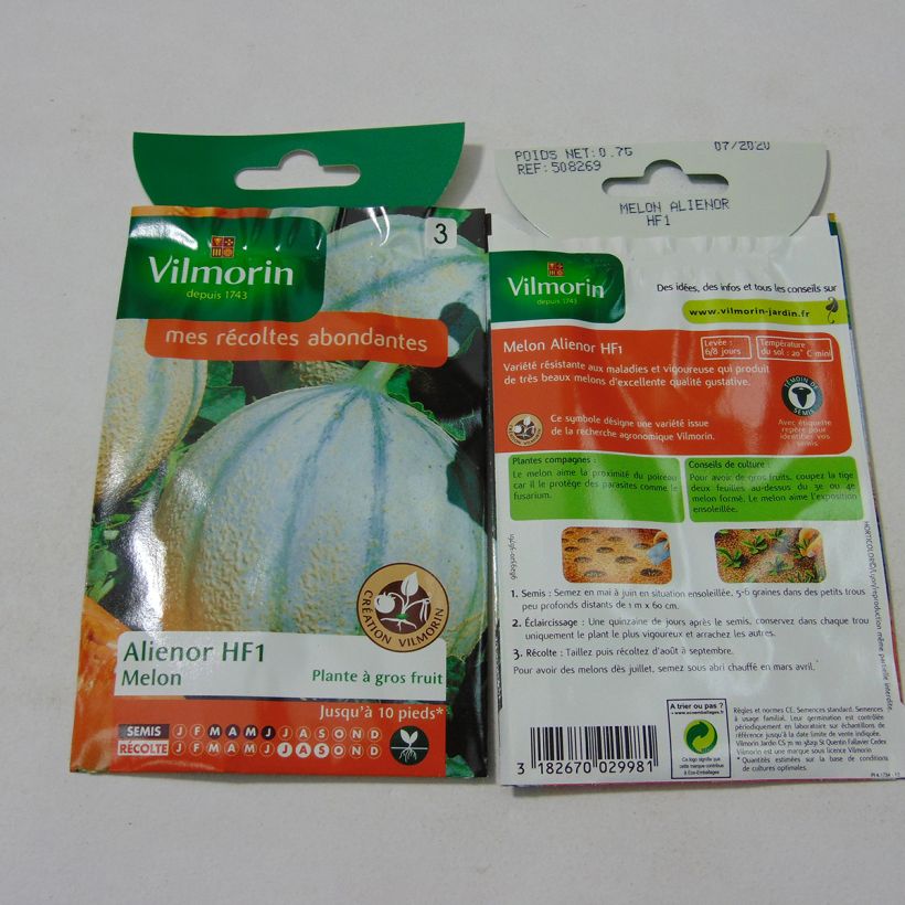 Beispiel eines Exemplars von Melone Alienor - Vilmorin die Tüte mit 21 Samen (0.7g) wie geliefert