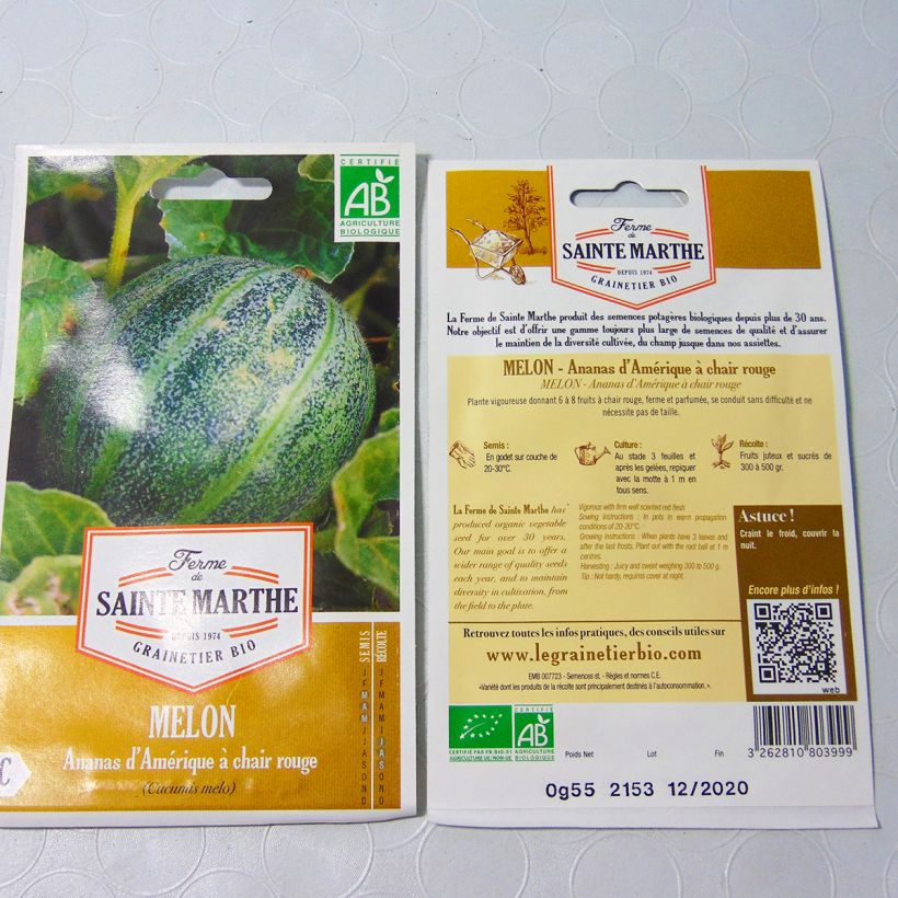 Beispiel eines Exemplars von Melone Ananas d'Amérique Bio - Ferme de Sainte Marthe die Tüte mit 15 Samen wie geliefert