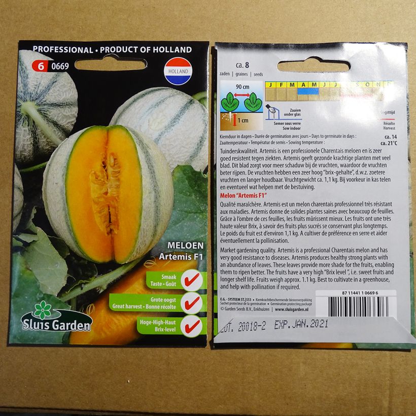 Beispiel eines Exemplars von Melone Artemis F1 die Tüte mit 8 Samen wie geliefert