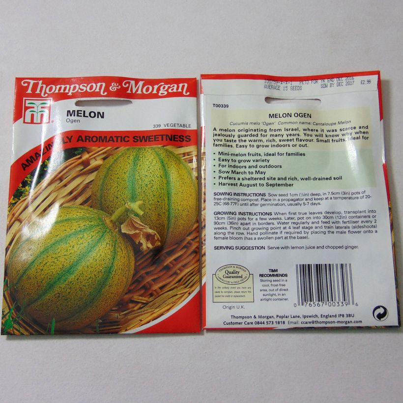 Beispiel eines Exemplars von Melone Ogen die Tüte mit 15 Samen wie geliefert