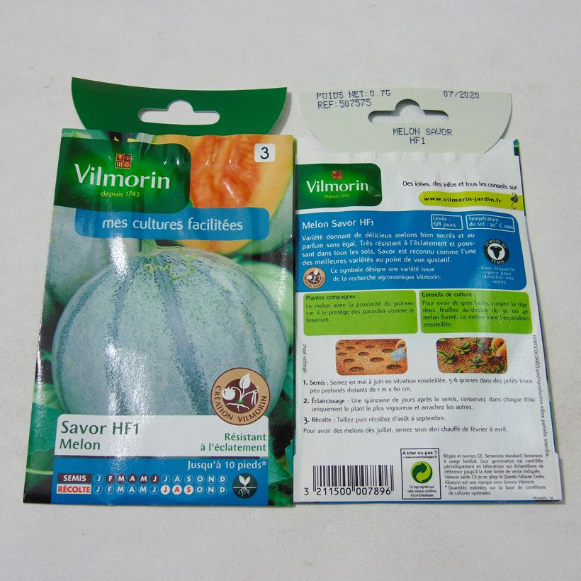 Beispiel eines Exemplars von Melone Savor - Vilmorin die Tüte mit 21 Samen (0.7g) wie geliefert