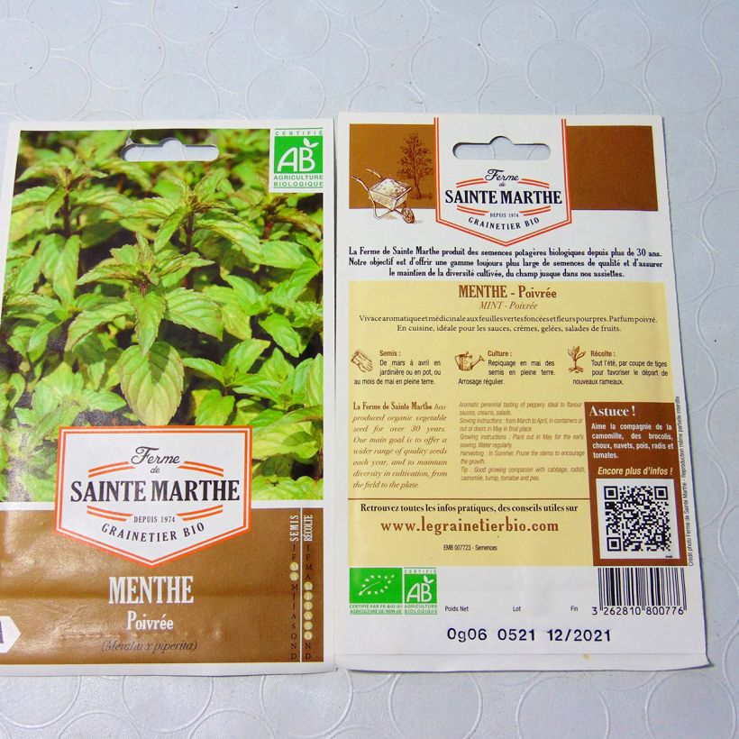 Beispiel eines Exemplars von Pfefferminze Bio - Ferme de Sainte Marthe - Mentha piperita die Tüte mit 1500 Samen (0,1g) wie geliefert