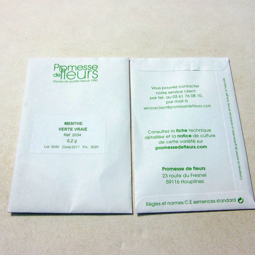Beispiel eines Exemplars von Ähren-Minze Verte vraie - Mentha spicata die Tüte mit 2000 Samen (0,2g) wie geliefert
