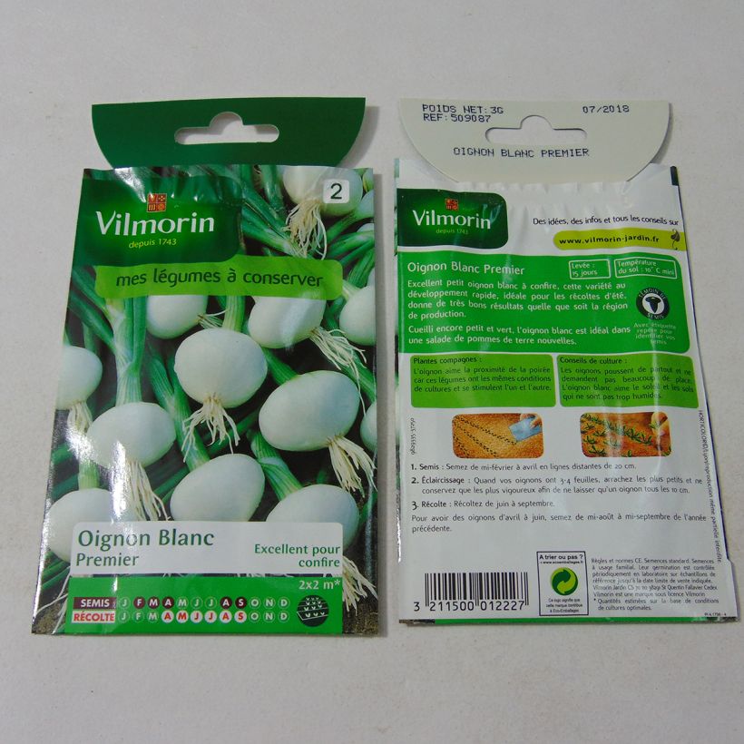 Beispiel eines Exemplars von Weiße Zwiebel Blanc Premier - Vilmorin die Tüte mit 750 Samen (3g) wie geliefert