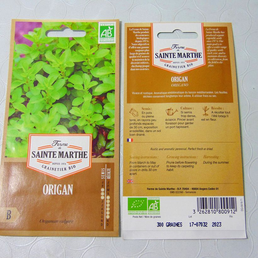 Beispiel eines Exemplars von Gewöhnlicher Dost Bio - Ferme de Sainte Marthe - Origanum vulgare die Tüte mit 1000 Samen (0,15g) wie geliefert