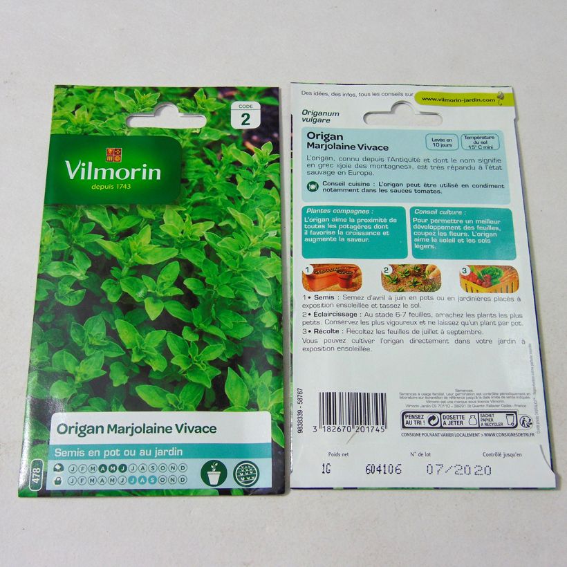 Beispiel eines Exemplars von Gewöhnlicher Dost - Vilmorin - Origanum vulgare die Tüte mit 12000 Samen (1g) wie geliefert