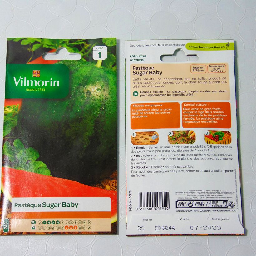 Beispiel eines Exemplars von Wassermelone Sugar Baby - Vilmorin die Tüte mit Samen von 3 Gramm wie geliefert