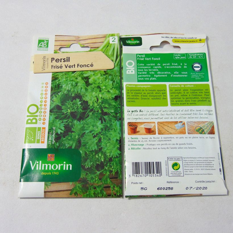 Beispiel eines Exemplars von Garten-Petersilie Vert Foncé Bio - Vilmorin die Tüte mit 3000 Samen (5g) wie geliefert