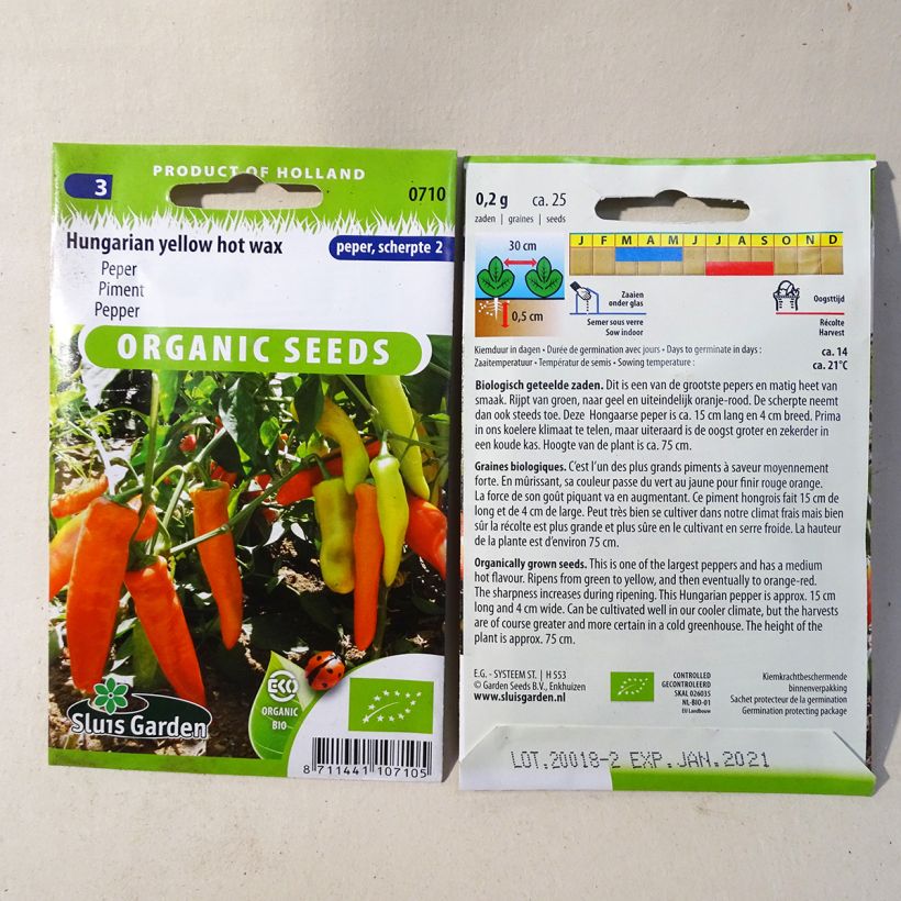 Beispiel eines Exemplars von Chili-Pfeffer Hungarian Yellow Wax Hot Bio die Tüte mit 25 Samen (0.2g) wie geliefert