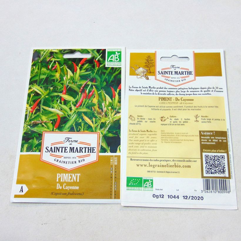 Beispiel eines Exemplars von Chili Cayenne Bio - Ferme de Sainte Marthe die Tüte mit 25 Samen wie geliefert