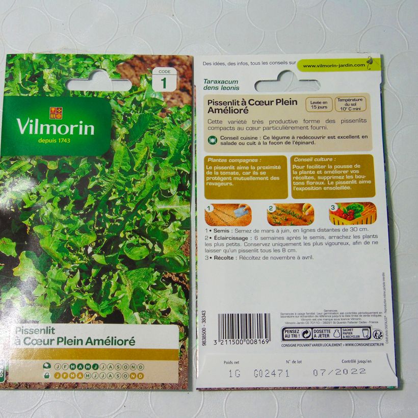 Beispiel eines Exemplars von Wiesen-Löwenzähne Cœur Plein amélioré - Vilmorin - Taraxacum officinale die Tüte mit Samen von 1 Gramm wie geliefert