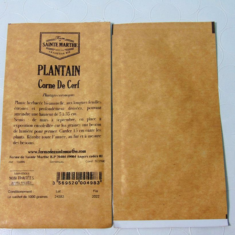 Beispiel eines Exemplars von Krähenfuß-Wegerich - Ferme de Sainte Marthe - Plantago coronopus die Tüte mit 3000 Samen (1g) wie geliefert