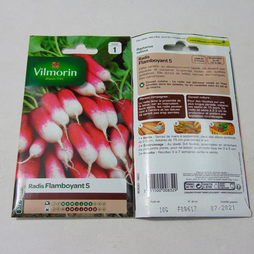 Beispiel eines Exemplars von Rettich Flamboyant 5 - Vilmorin die Tüte mit 800 Samen (10g) wie geliefert
