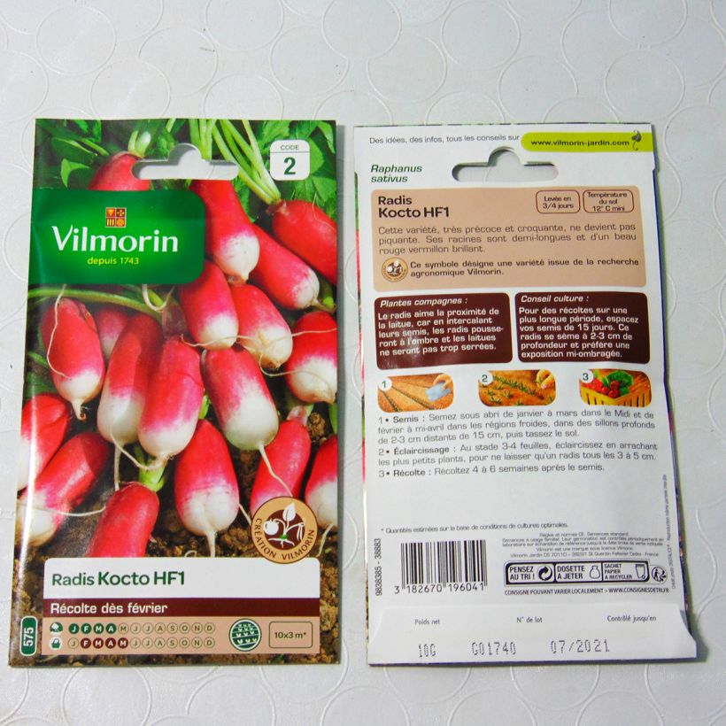 Beispiel eines Exemplars von Rettich Kocto F1 - Vilmorin die Tüte mit 1200 Samen (10g) wie geliefert