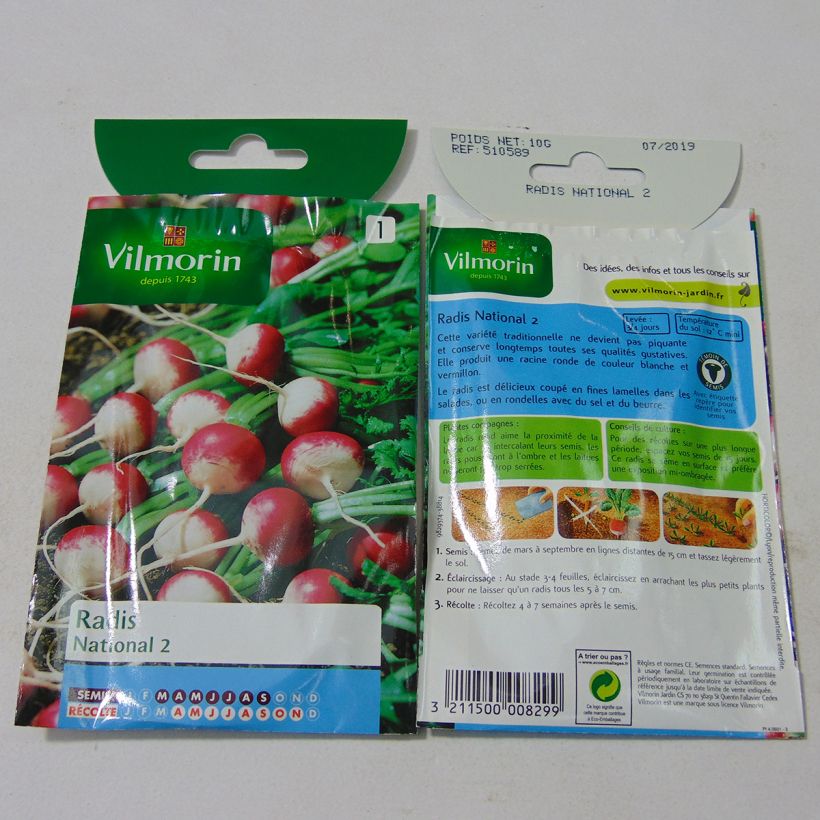 Beispiel eines Exemplars von Rettich National 2 - Vilmorin die Tüte mit 800 Samen (10g) wie geliefert
