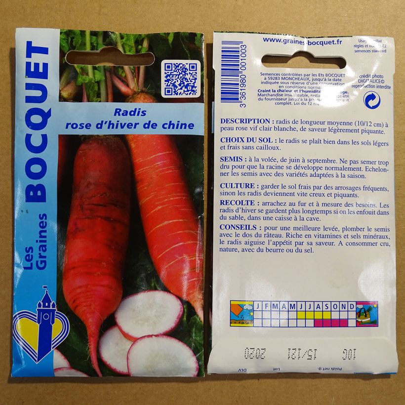 Beispiel eines Exemplars von Rettich Rose d'hiver de Chine die Tüte mit 800 Samen (10g) wie geliefert