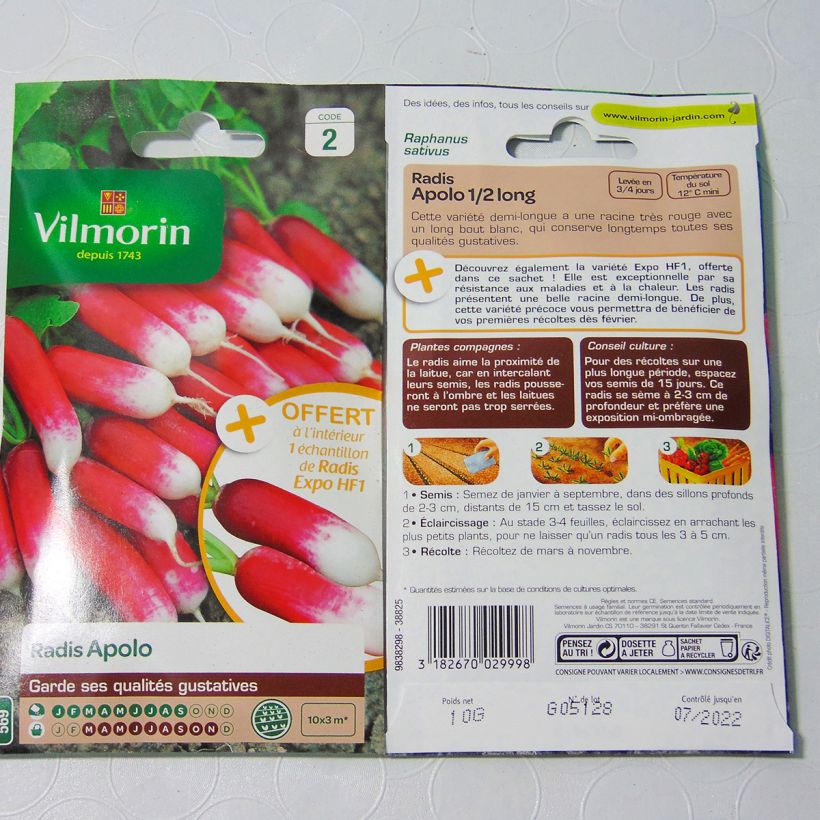 Beispiel eines Exemplars von Rettich 1/2 long Apolo - Vilmorin die Tüte mit 800 Samen (10g) wie geliefert