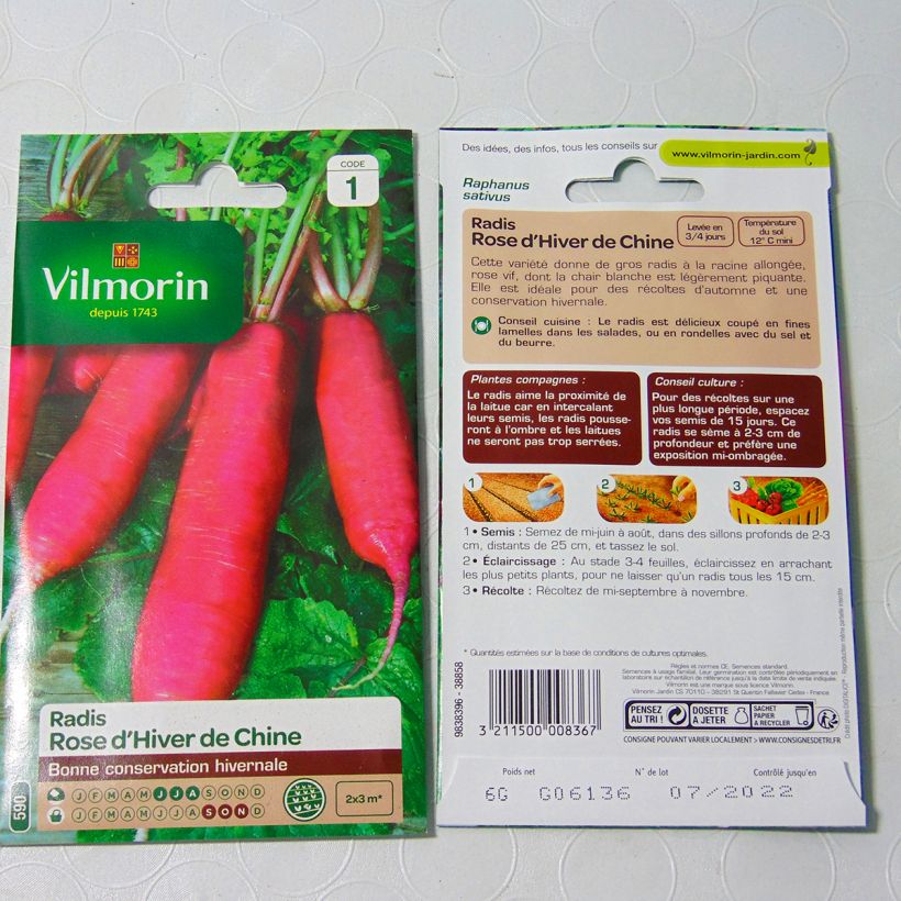 Beispiel eines Exemplars von Rettich Rose d'hiver de Chine - Vilmorin die Tüte mit 480 Samen (6g) wie geliefert