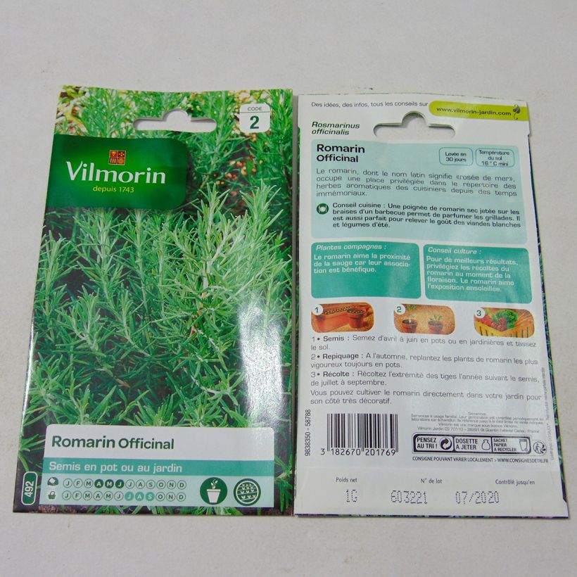 Beispiel eines Exemplars von Rosmarin - Vilmorin - Rosmarinus officinalis die Tüte mit Samen von 1 Gramm wie geliefert