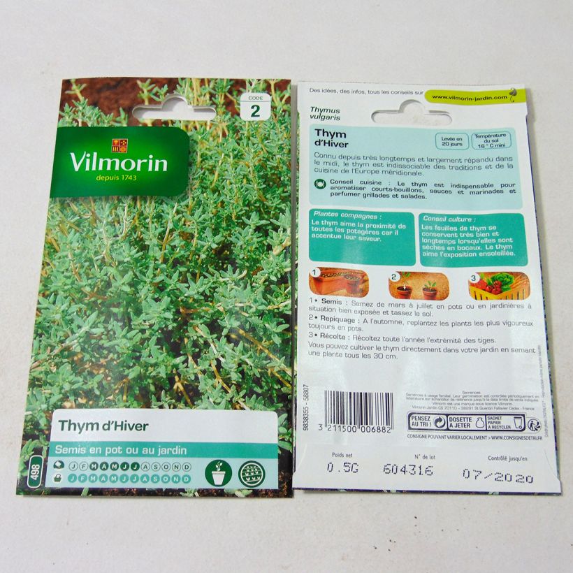 Beispiel eines Exemplars von Echter Thymian - Vilmorin - Thymus vulgaris die Tüte mit 3000 Samen wie geliefert