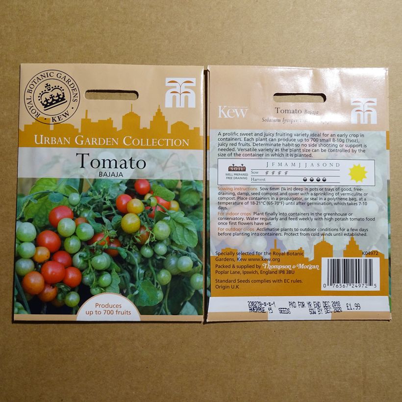 Beispiel eines Exemplars von Tomate Bajaja die Tüte mit 15 Samen wie geliefert