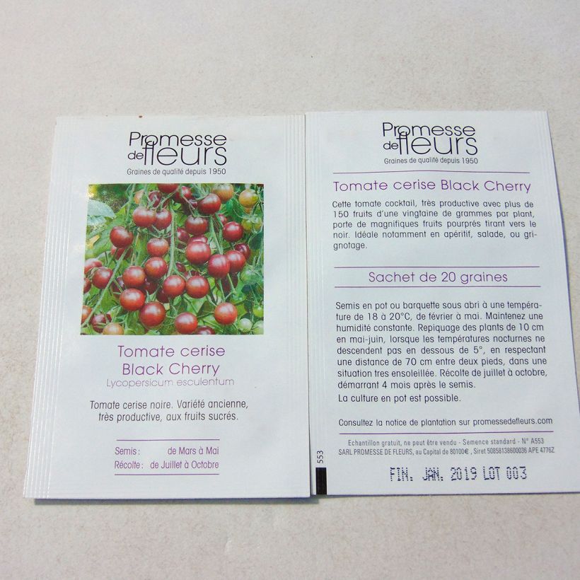 Beispiel eines Exemplars von Kirschtomate Black Cherry die Tüte mit 50 Samen (0,1g) wie geliefert