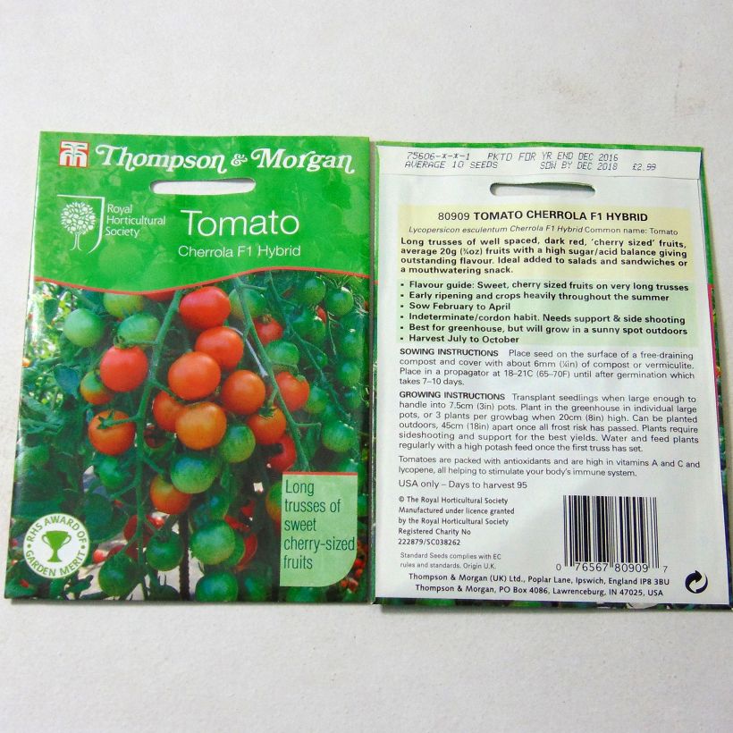 Beispiel eines Exemplars von Kirschtomate Cherrola die Tüte mit 10 Samen wie geliefert