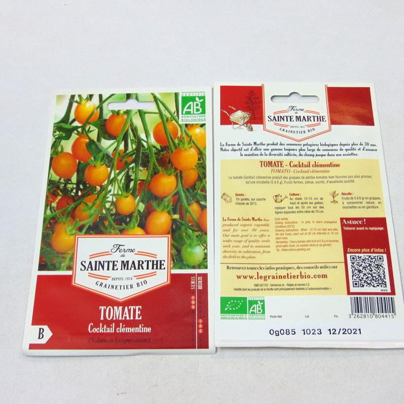 Beispiel eines Exemplars von Tomate Cocktail Clémentine Bio die Tüte mit 50 Samen wie geliefert