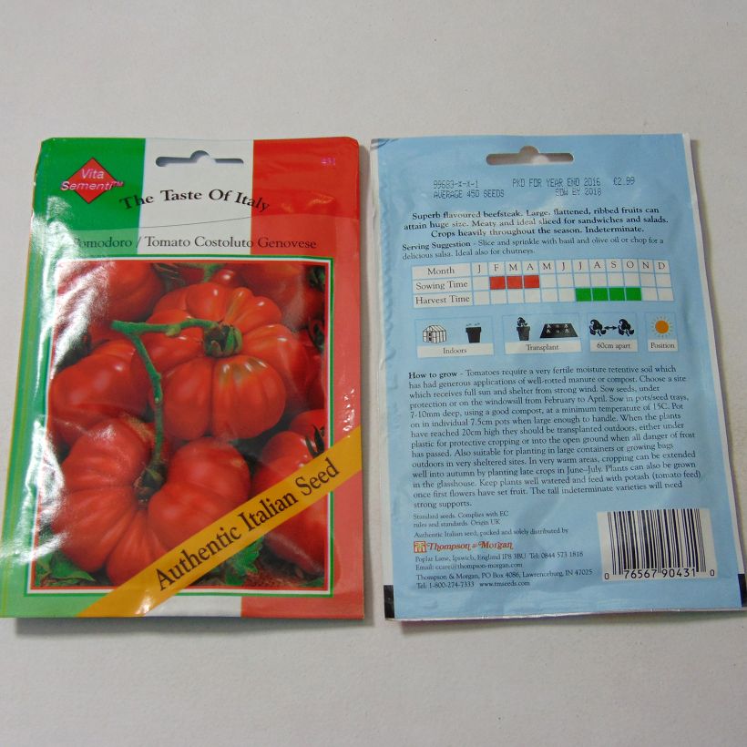 Beispiel eines Exemplars von Tomate Costoluto Genovese die Tüte mit 450 Samen wie geliefert