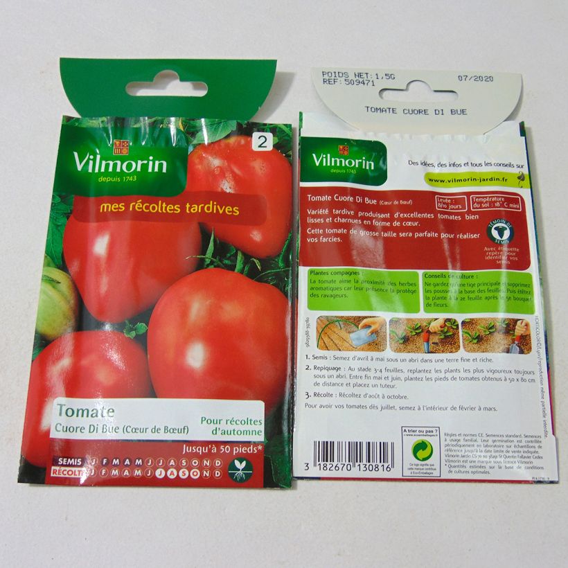 Beispiel eines Exemplars von Fleischtomate Cuor di Bue - Vilmorin die Tüte mit 300 Samen (1g) wie geliefert