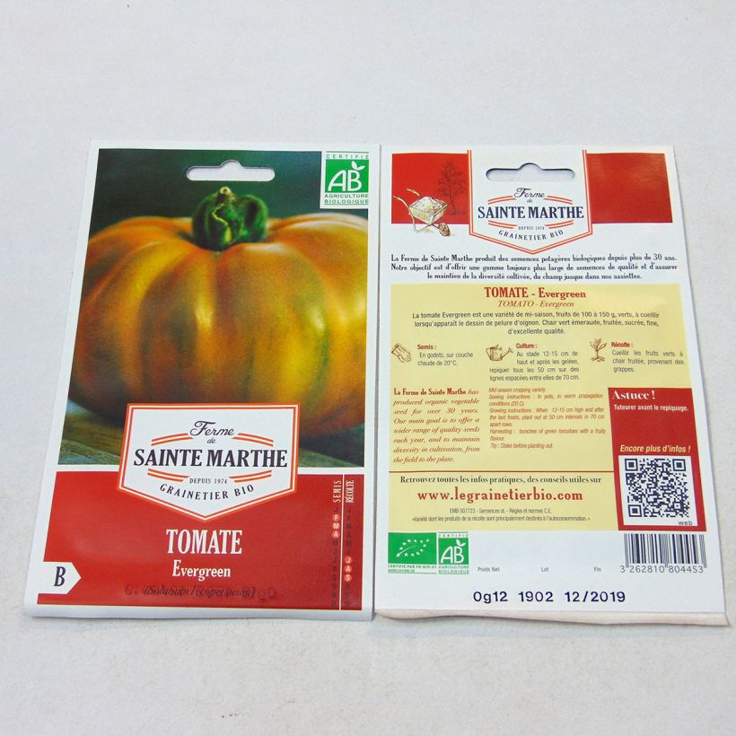Beispiel eines Exemplars von Tomate Evergreen Bio die Tüte mit 60 Samen wie geliefert