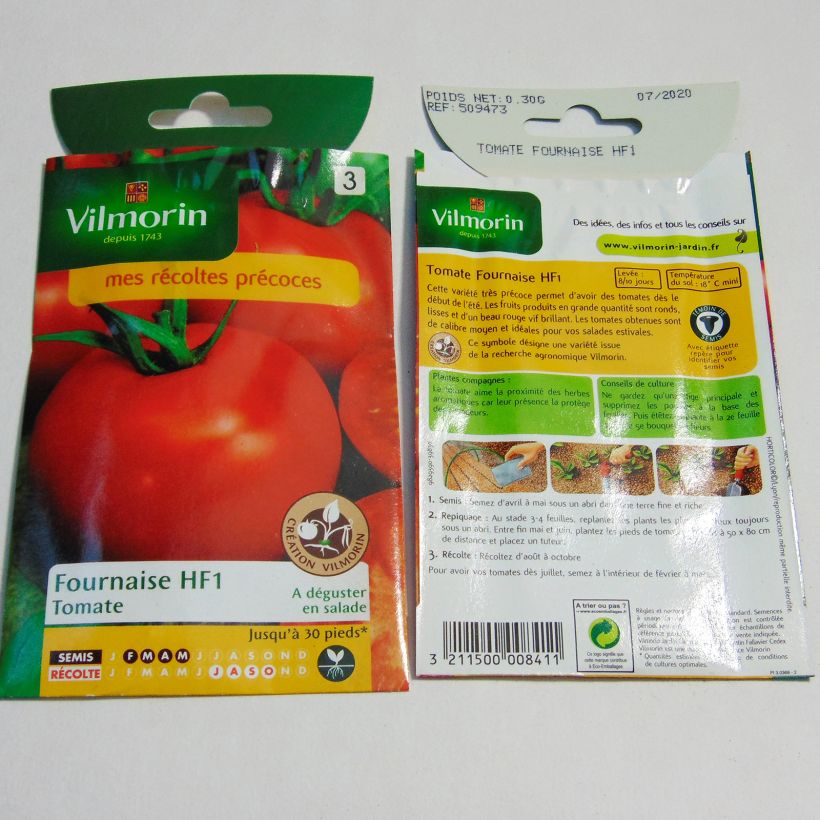 Beispiel eines Exemplars von Tomate Fournaise - Vilmorin die Tüte mit 90 Samen (0.3g) wie geliefert