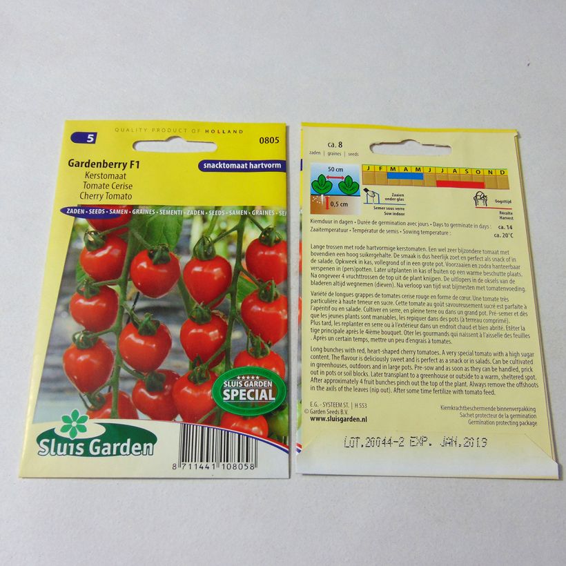 Beispiel eines Exemplars von Kirschtomate Gardenberry die Tüte mit 7 Samen wie geliefert