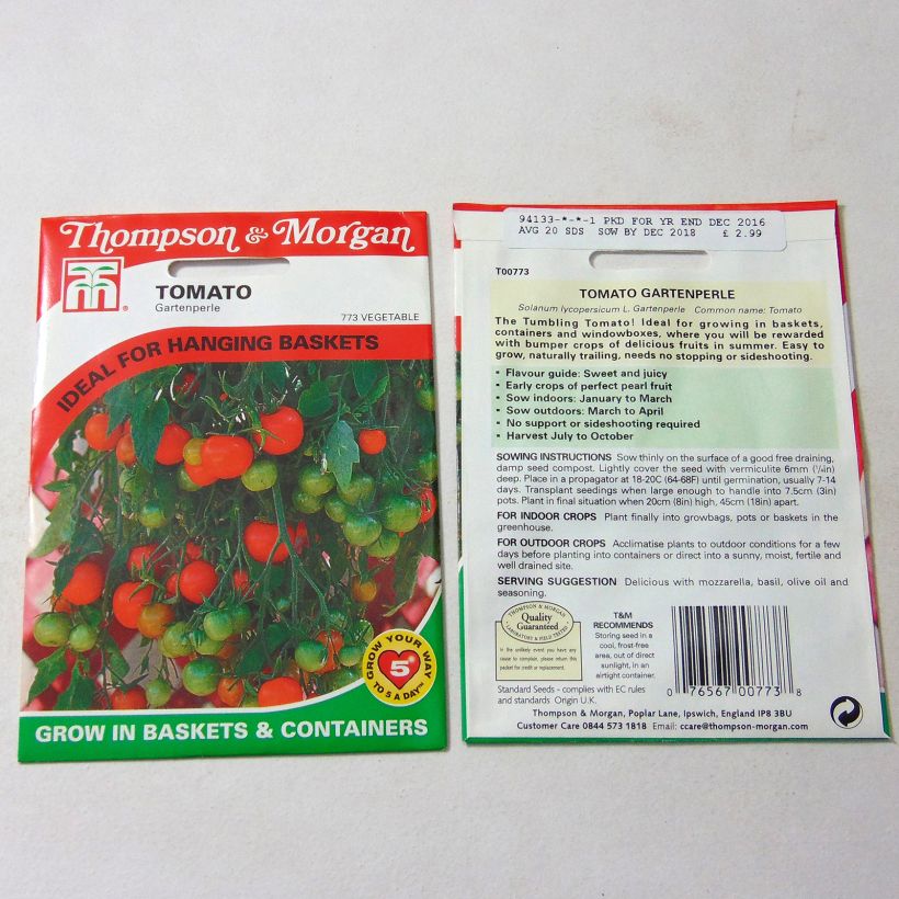 Beispiel eines Exemplars von Kirschtomate Gartenperle die Tüte mit 20 Samen wie geliefert