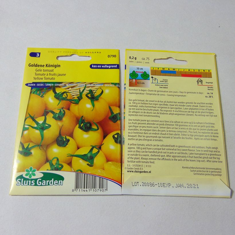 Beispiel eines Exemplars von Tomate Goldene Königin die Tüte mit 75 Samen wie geliefert