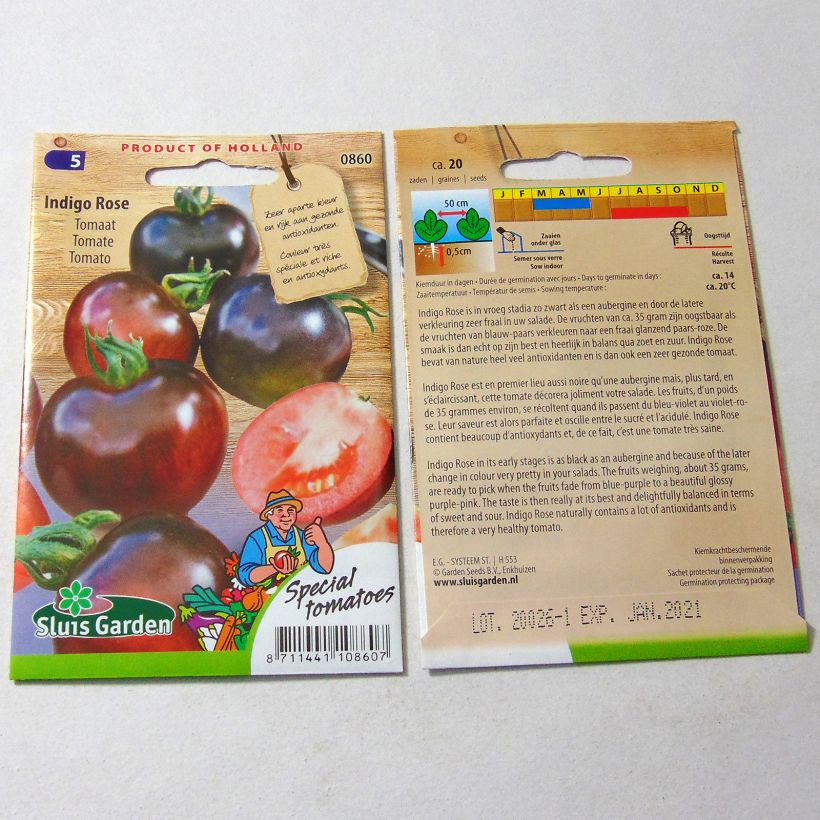 Beispiel eines Exemplars von Tomate Indigo Rose die Tüte mit 15 Samen wie geliefert