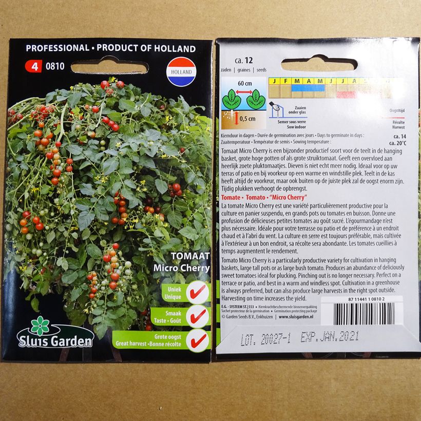 Beispiel eines Exemplars von Tomate Micro Cherry Graines wie geliefert