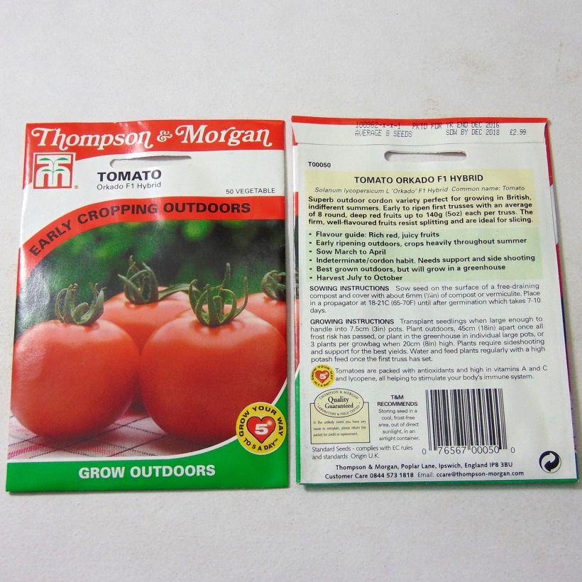 Beispiel eines Exemplars von Tomate Orkado die Tüte mit 8 Samen wie geliefert
