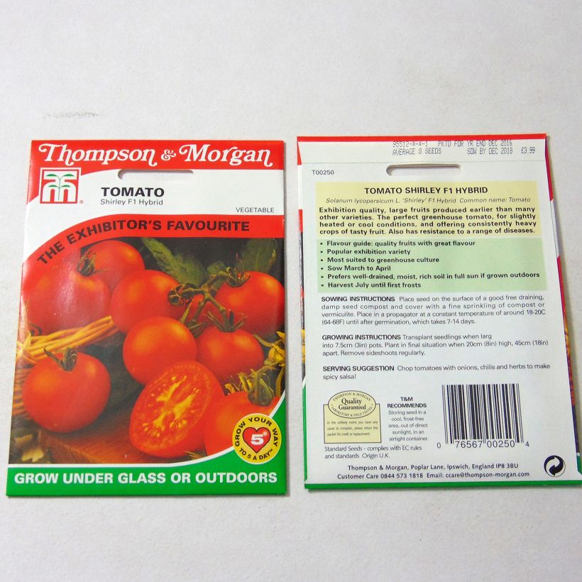 Beispiel eines Exemplars von Tomate Shirley die Tüte mit 10 Samen wie geliefert