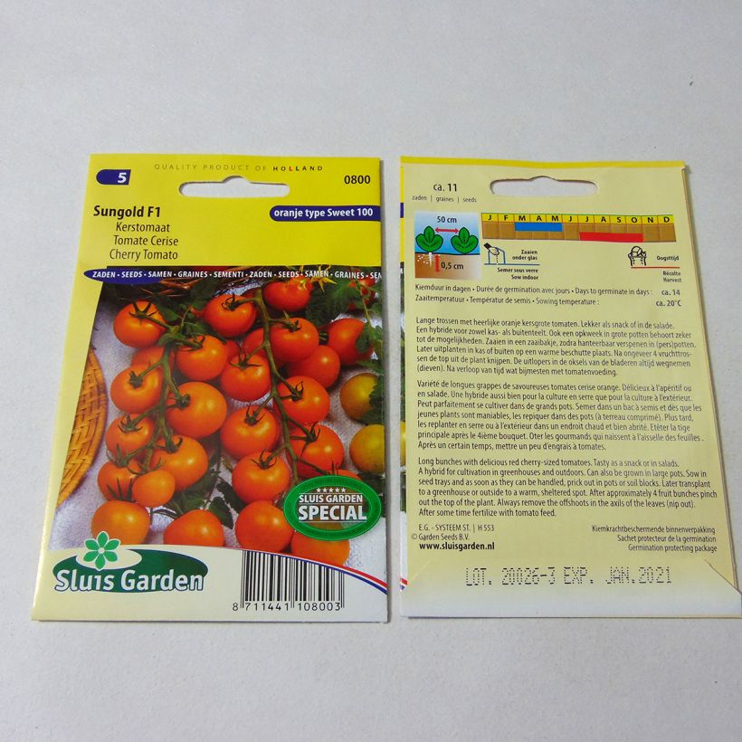 Beispiel eines Exemplars von Kirschtomate Sungold die Tüte mit 11 Samen wie geliefert